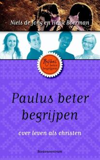 VBK Media Paulus beter begrijpen - Boek Niels de Jong (9023927605)