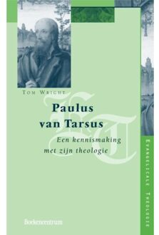 VBK Media Paulus van Tarsus - Boek Thomas Wright (9023918673)