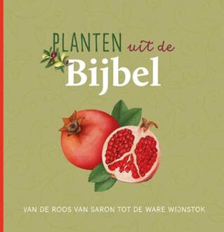 VBK Media Planten uit de Bijbel - (ISBN:9789043534604)