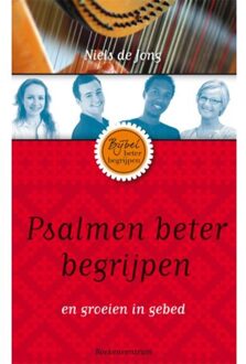 VBK Media Psalmen beter begrijpen - Boek Niels de Jong (9023925831)