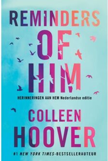 VBK Media Reminders Of Him - Colleen Hoover