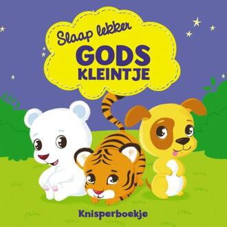 VBK Media Slaap Lekker Gods Kleintje - Jacob Vium