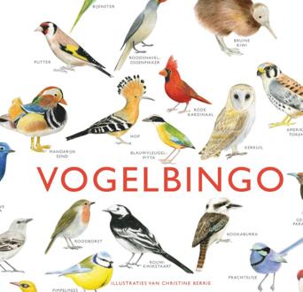 VBK Media Spel Vogelbingo | Kosmos Uitgevers