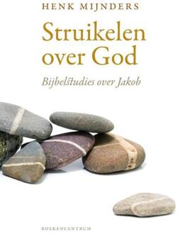 VBK Media Struikelen over God - Boek Henk Mijnders (9023928598)