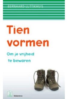 VBK Media Tien vormen - Boek Bernard Luttikhuis (9023924991)