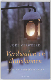 VBK Media Verdwalen en thuiskomen - Boek Joke Verweerd (9023993047)