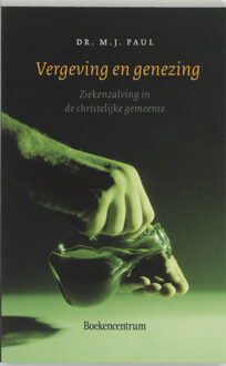 VBK Media Vergeving en genezing - Boek M.J. Paul (9023911997)