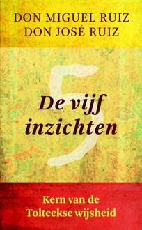 VBK Media vijf inzichten - Boek Miguel Ruiz (9020209264)