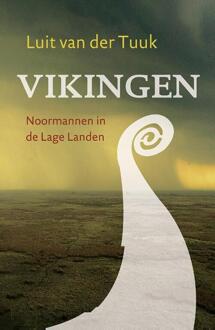 VBK Media Vikingen - Boek Luit van der Tuuk (9401906823)