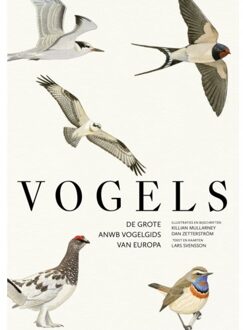 VBK Media Vogels - Lars Svensson