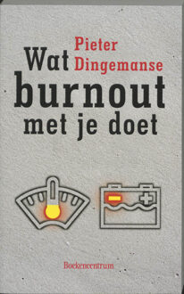 VBK Media Wat burnout met je doet - Boek P. Dingemanse (9023913124)