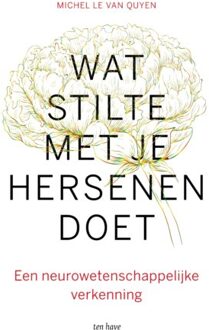 VBK Media Wat stilte met je hersenen doet - Michel Le Van Quyen - 000