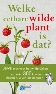 VBK Media Welke Eetbare Wilde Plant Is Dat? - Welke Is Dat? Natuurgidsen - Christa Bastgen