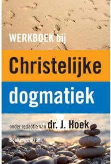 VBK Media Werkboek bij de Christelijke dogmatiek - Boek VBK Media (9023970195)