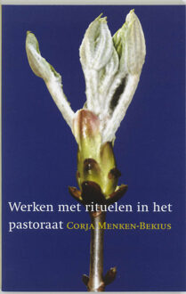 VBK Media Werken met rituelen in het pastoraat - Boek c. Menken-Bekius (9043502820)