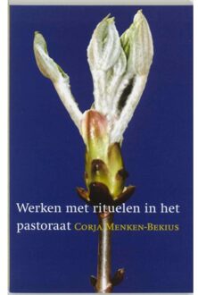 VBK Media Werken met rituelen in het pastoraat - Boek c. Menken-Bekius (9043502820)