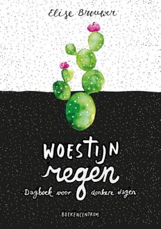 VBK Media Woestijnregen - Boek Elise Brouwer (902395470X)