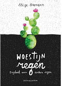 VBK Media Woestijnregen - Boek Elise Brouwer (902395470X)