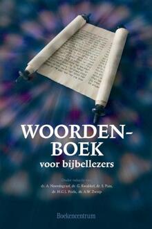 VBK Media Woordenboek voor bijbellezers - Boek A. Noordegraaf (9023920481)