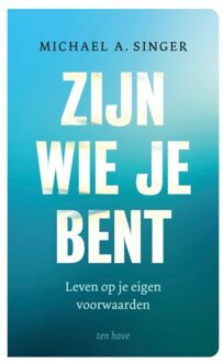 VBK Media Zijn Wie Je Bent - Michael A. Singer