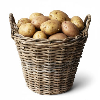 Vdl Mand Rotan Antique Grey D40h30cm Grijs