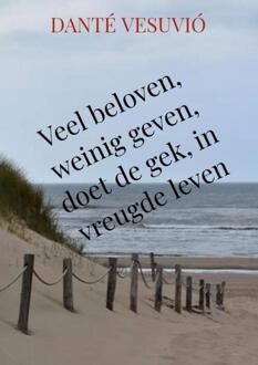 Veel beloven, weinig geven, doet de gek, in vreugde leven - (ISBN:9789464357905)