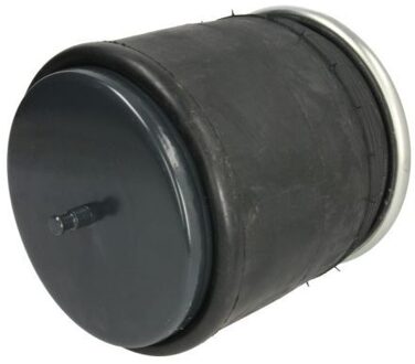 Veerbalg, luchtvering 5002030337