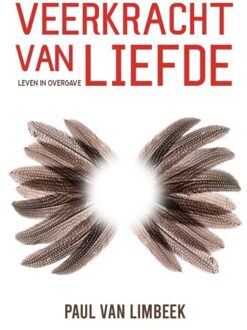 Veerkracht Van Liefde - Veerkracht - Paul van Limbeek