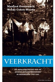 Veerkracht