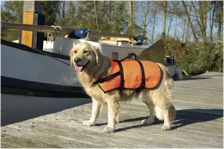 Veiligheidsvest/Zwemvest - Hond - LG - 23-41 Kg