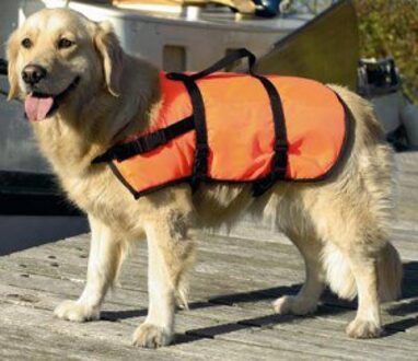 Veiligheidsvest/Zwemvest - Hond - X-LG - 41+ Kg