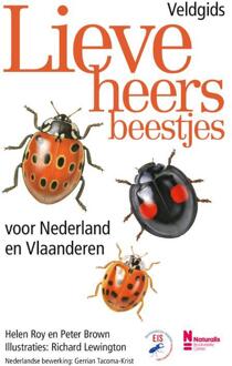Veldgids lieveheersbeestjes voor Nederland en Vlaanderen