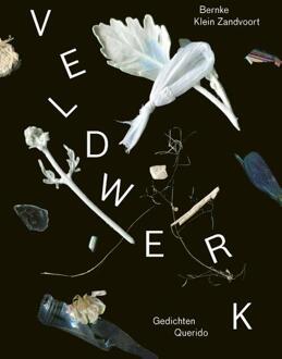 Veldwerk - Boek Bernke Klein Zandvoort (9021415410)