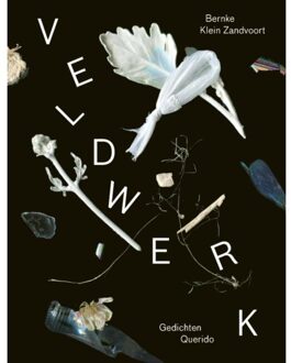 Veldwerk - Boek Bernke Klein Zandvoort (9021415410)