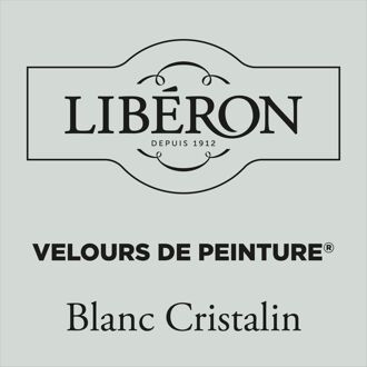 Velours De Peinture Muurverf - Mat - Blanc Cristallin - 0,5l