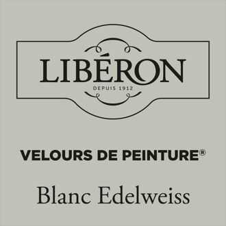 Velours De Peinture Muurverf - Mat - Blanc Edelweiss - 0,5l