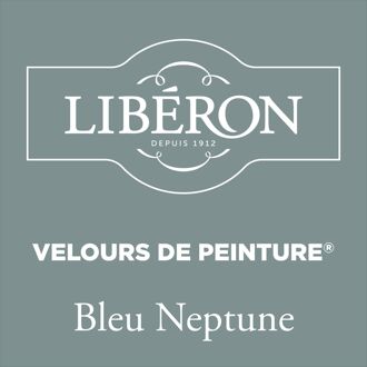 Velours De Peinture Muurverf - Mat - Bleu Neptune - 0,125l
