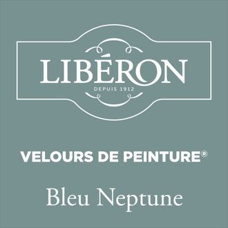Velours De Peinture Muurverf - Mat - Bleu Neptune - 2,5l