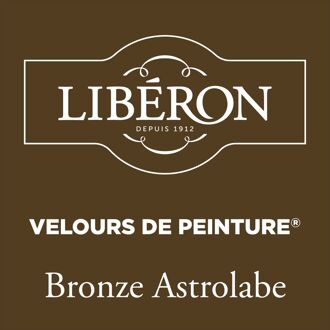 Velours De Peinture Muurverf - Mat - Bronze Astrolabe - 0,125l