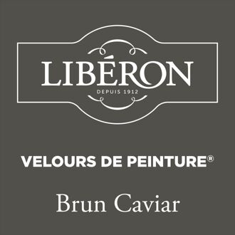 Velours De Peinture Muurverf - Mat - Brun Caviar - 0,125l
