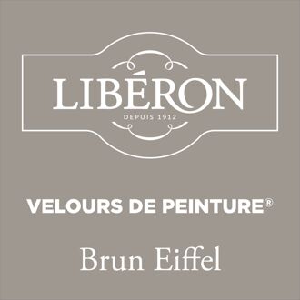 Velours De Peinture Muurverf - Mat - Brun Eiffel - 0,125l