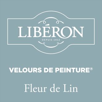 Velours De Peinture Muurverf - Mat - Fleur De Lin - 0,125l