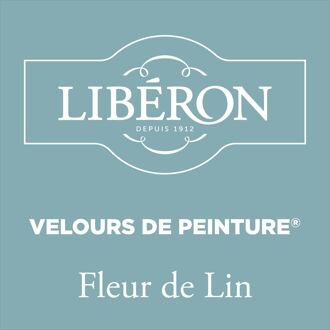 Velours De Peinture Muurverf - Mat - Fleur De Lin - 2,5l