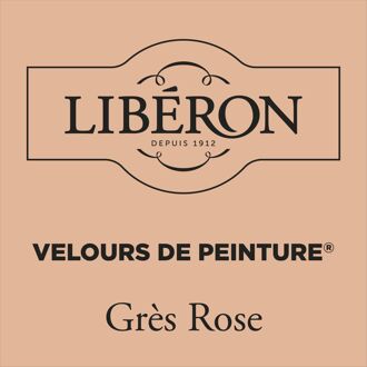 Velours De Peinture Muurverf - Mat - Grès Rose - 0,125l