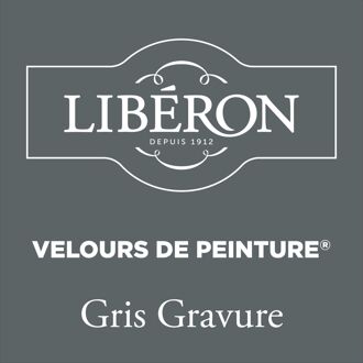 Velours De Peinture Muurverf - Mat - Gris Gravure - 0,125l