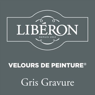 Velours De Peinture Muurverf - Mat - Gris Gravure - 0,5l