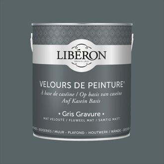Velours De Peinture Muurverf - Mat - Gris Gravure - 2,5l