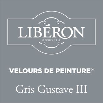 Velours De Peinture Muurverf - Mat - Gris Gustave Iii - 0,125l