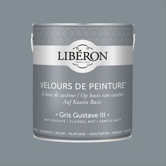 Velours De Peinture Muurverf - Mat - Gris Gustave Iii - 2,5l