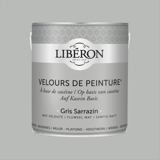 Velours De Peinture Muurverf - Mat - Gris Sarrazin - 2,5l